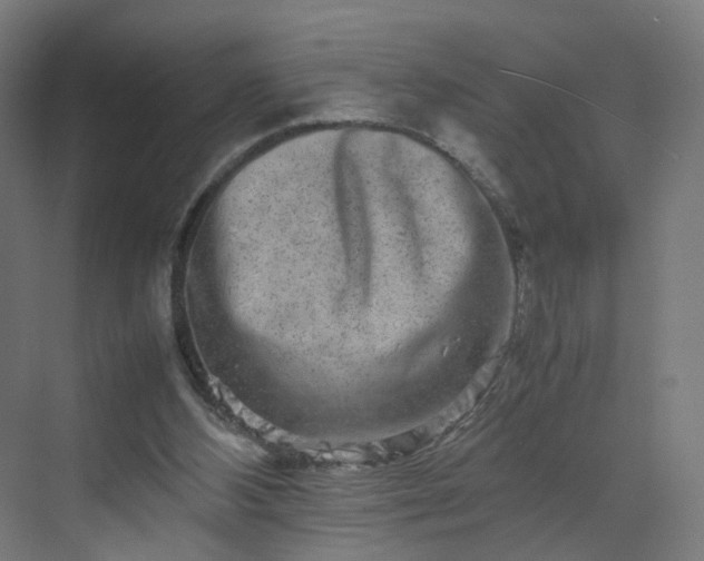 X0000070210108200606021305