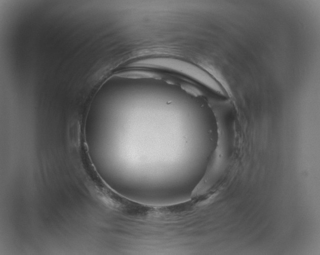 X0000070210109200606021305