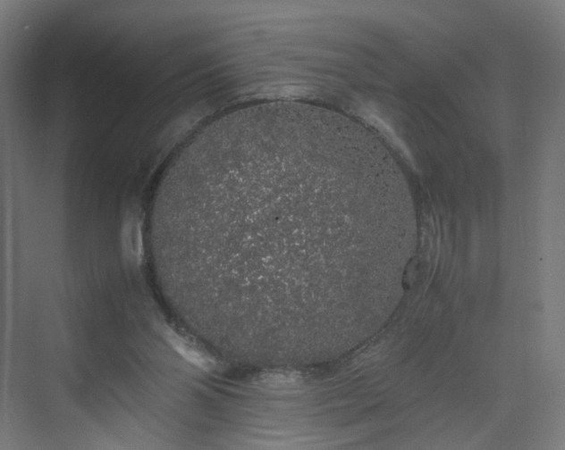 X0000070210110200606021305