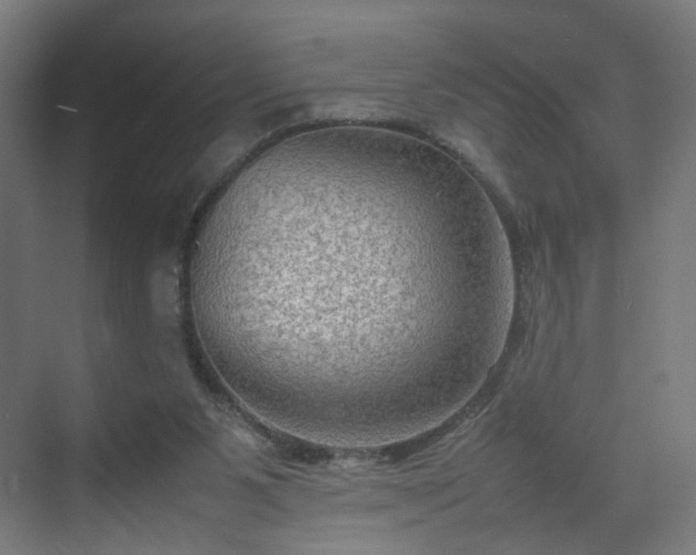 X0000070210111200606021305