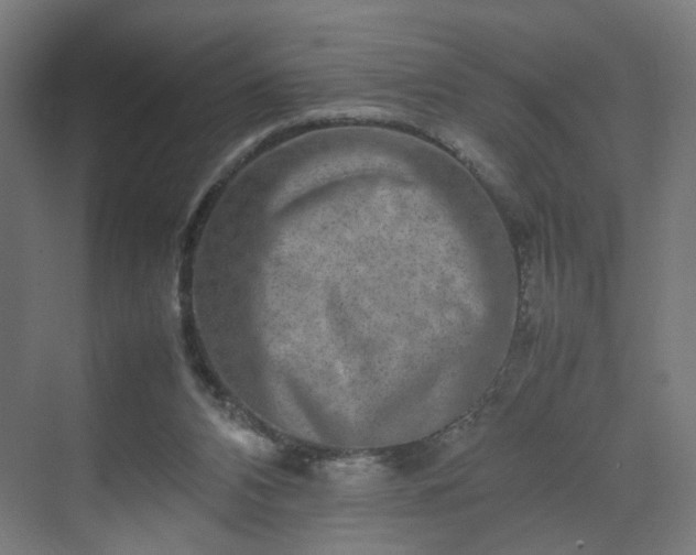 X0000070210112200606021305