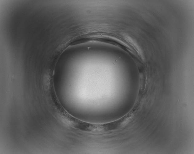 X0000070210113200606021305