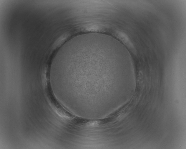 X0000070210116200606021305