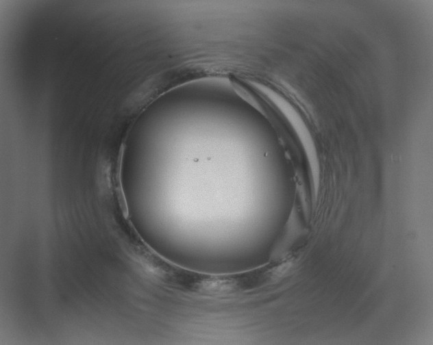 X0000070210117200606021305