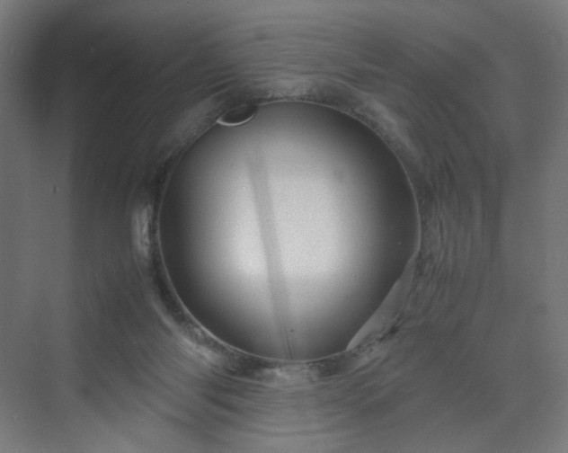 X0000070210118200606021305