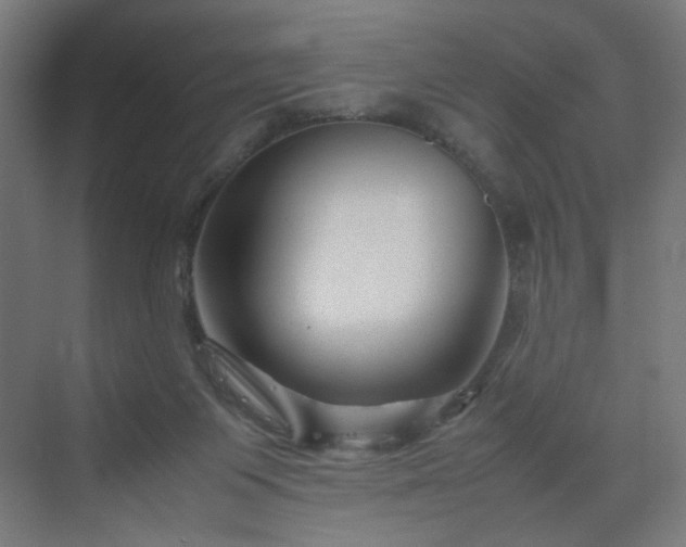 X0000070210119200606021305