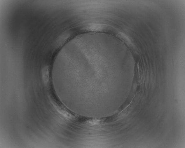 X0000070210120200606021305