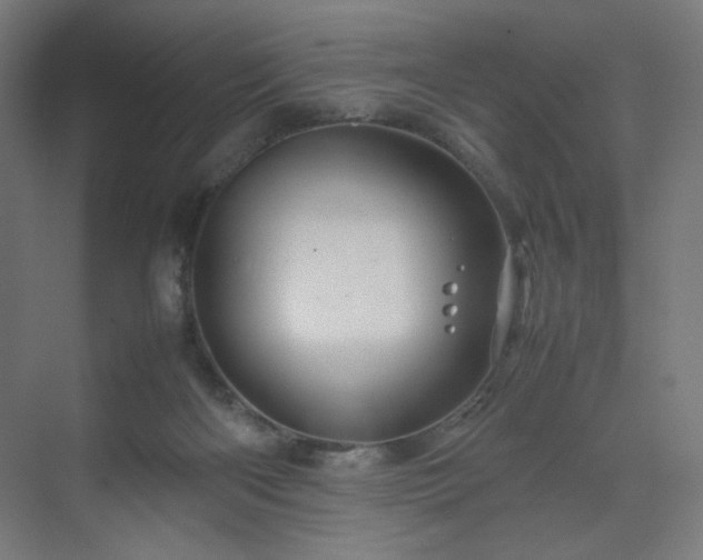 X0000070210122200606021305