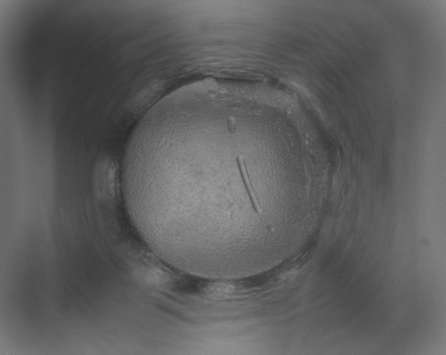 X0000070210123200606021305