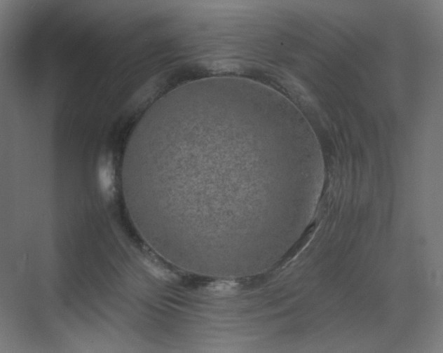 X0000070210124200606021305