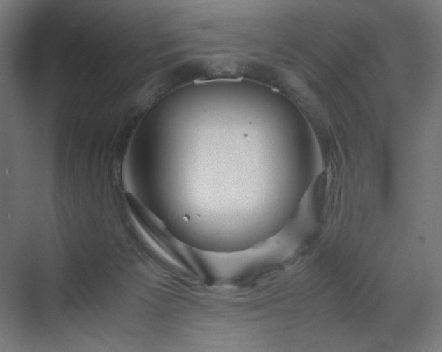 X0000070210125200606021305