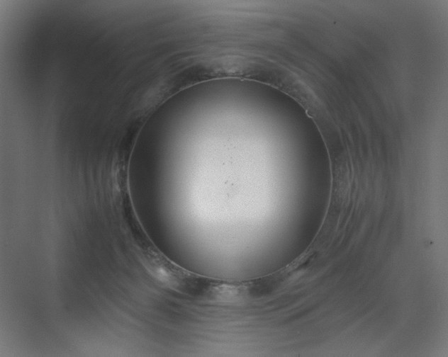 X0000070210126200606021305