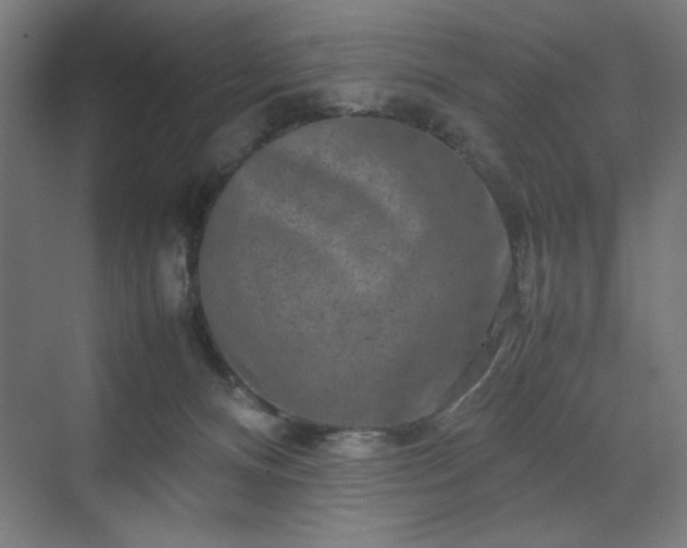 X0000070210128200606021305