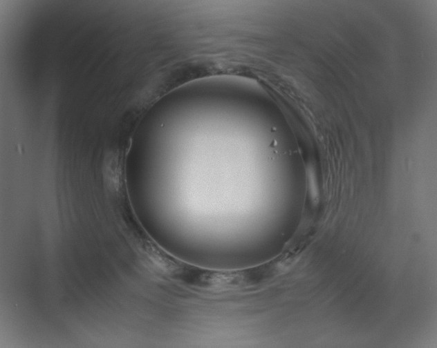 X0000070210129200606021305