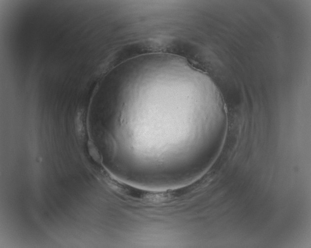 X0000070210131200606021305