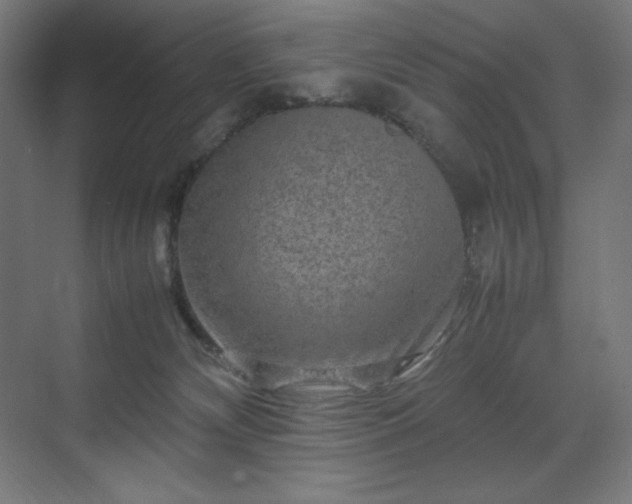 X0000070210132200606021305