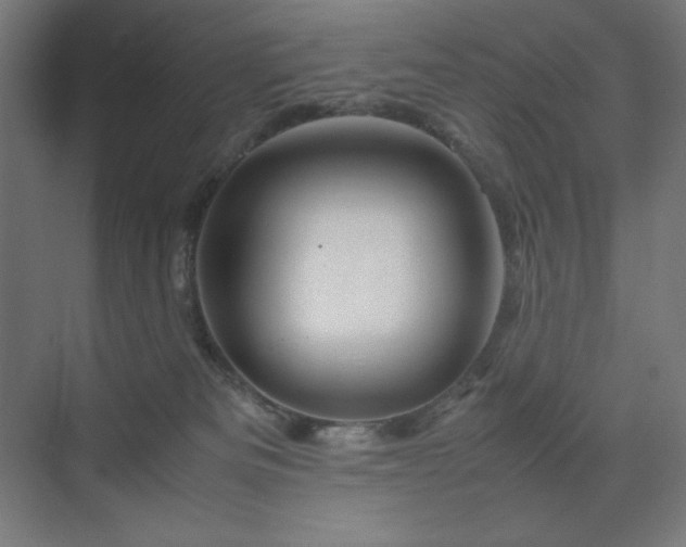 X0000070210133200606021305