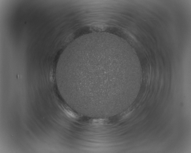 X0000070210134200606021305