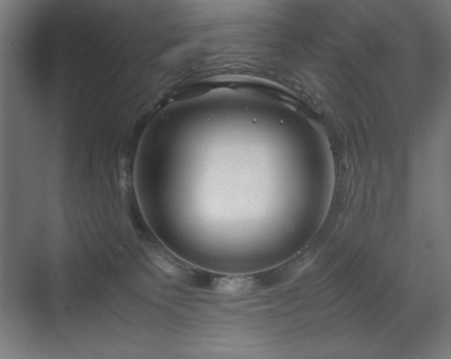 X0000070210135200606021305