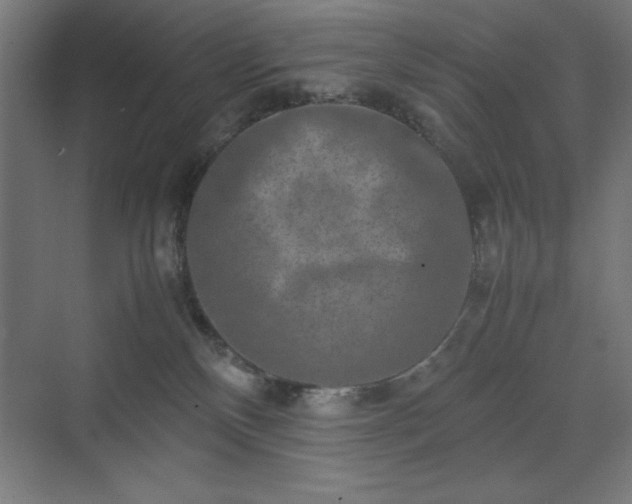 X0000070210136200606021305