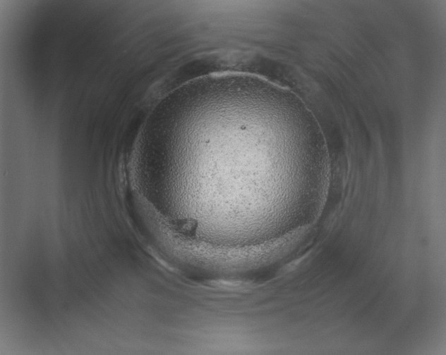 X0000070210137200606021305