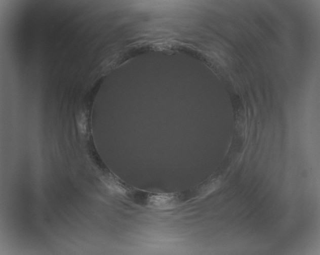 X0000070210139200606021305