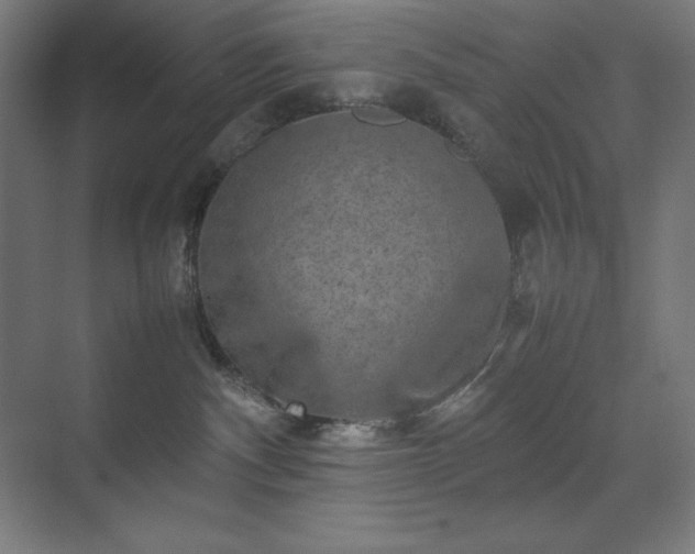 X0000070210140200606021305