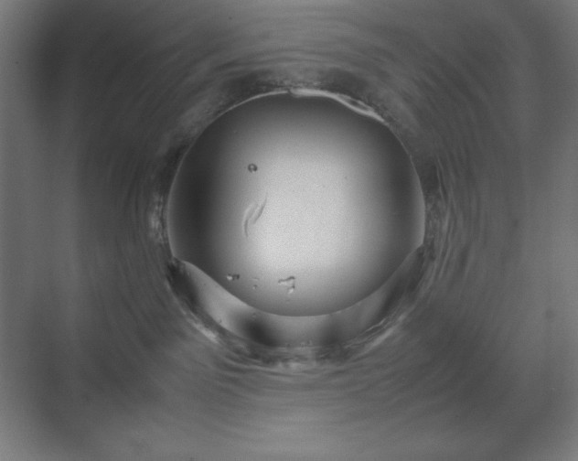 X0000070210141200606021305