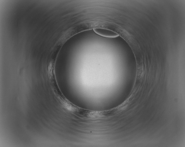 X0000070210142200606021305