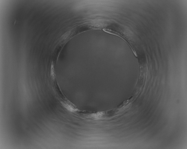 X0000070210143200606021305