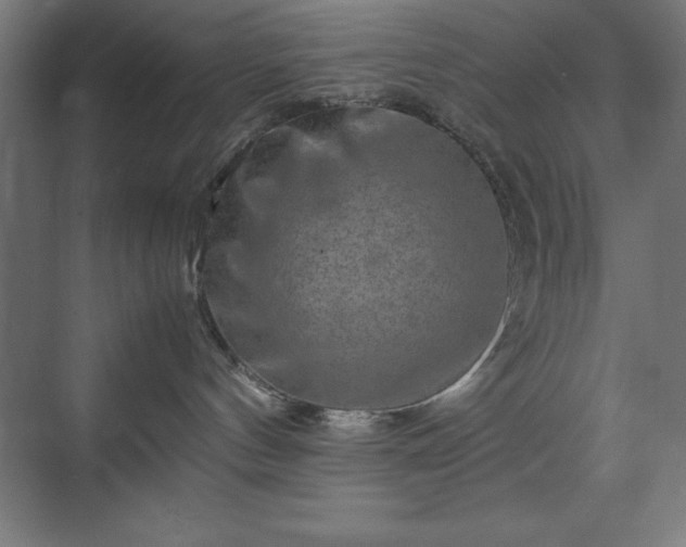 X0000070210144200606021305