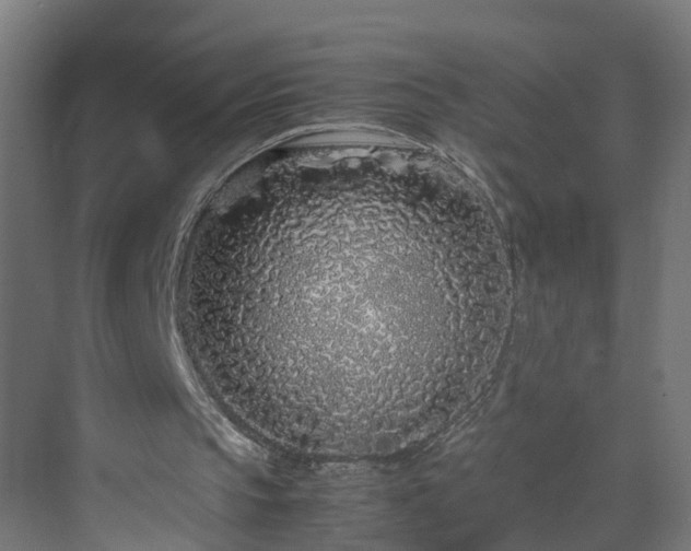 X0000070210145200606021304