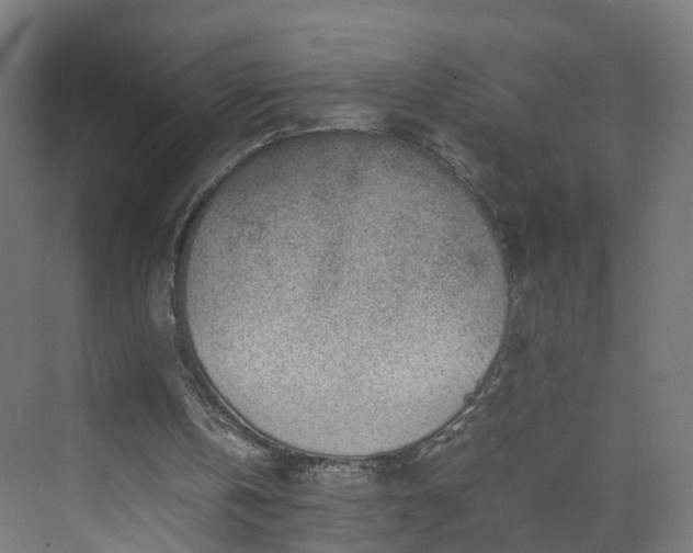 X0000070210146200606021304