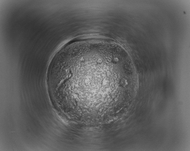 X0000070210147200606021304