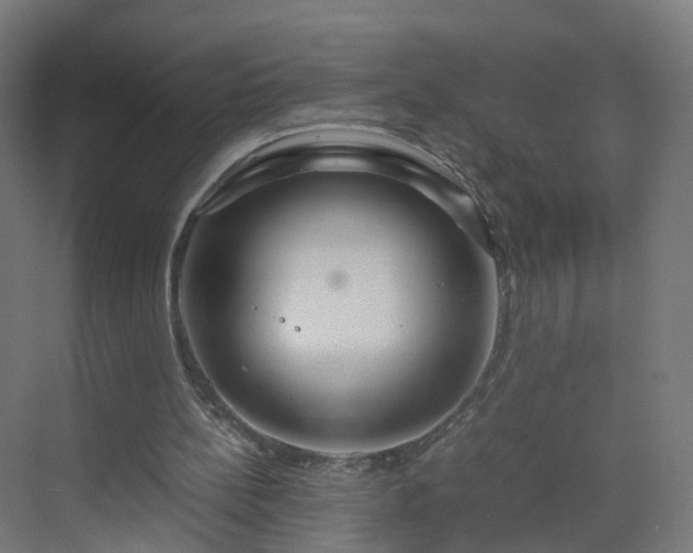 X0000070210148200606021304