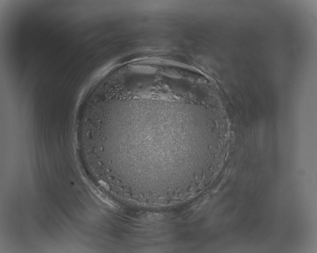 X0000070210149200606021304