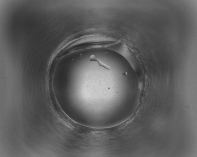 X0000070210150200606021304