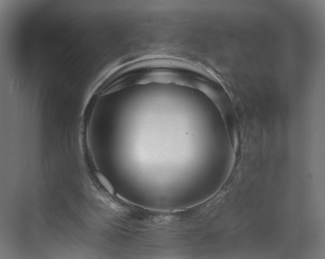 X0000070210152200606021304