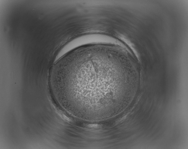 X0000070210153200606021304