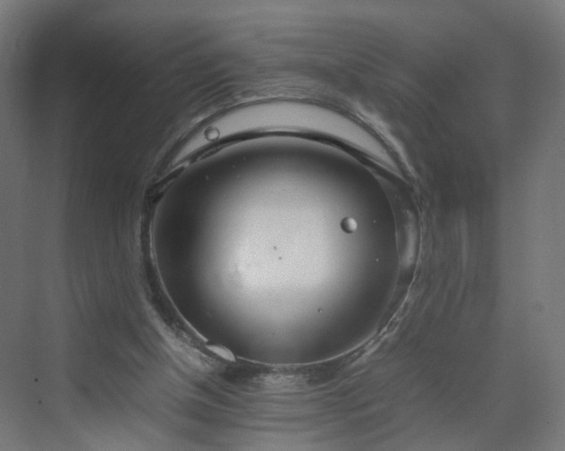 X0000070210154200606021304