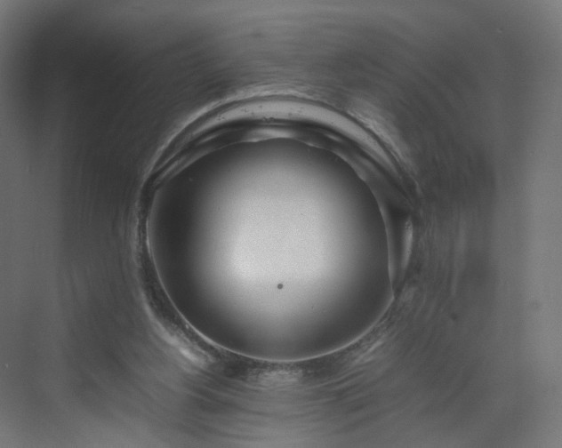 X0000070210156200606021304