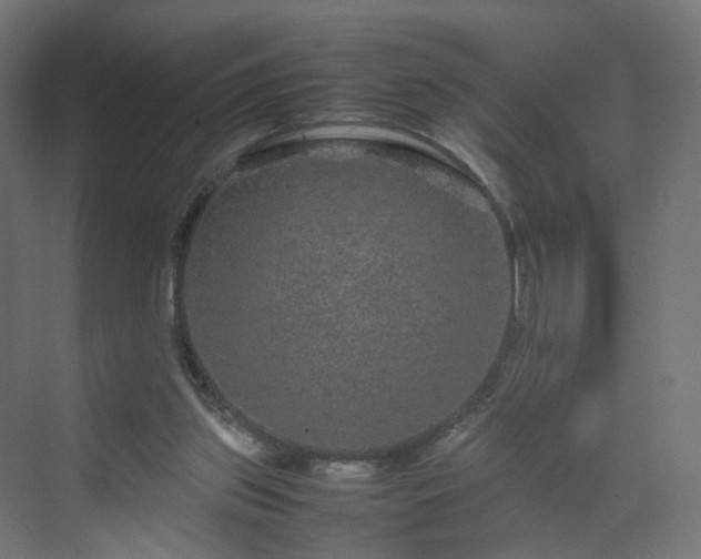 X0000070210157200606021304