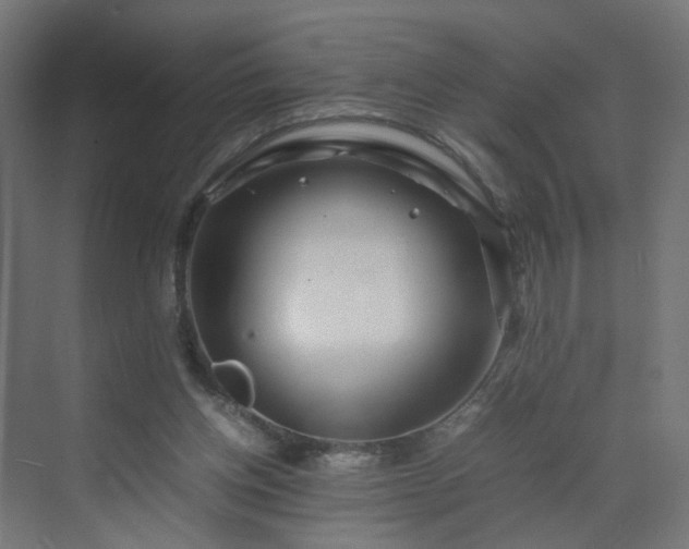 X0000070210158200606021304