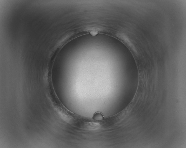 X0000070210159200606021304