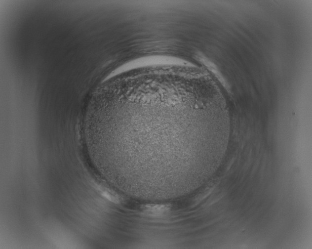 X0000070210161200606021304