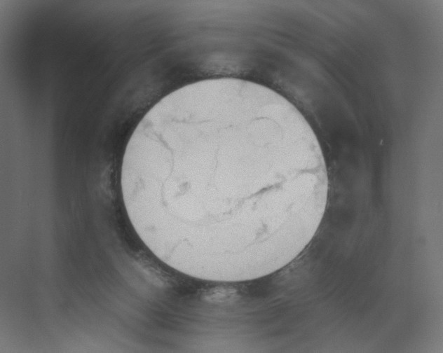 X0000070210162200606021304