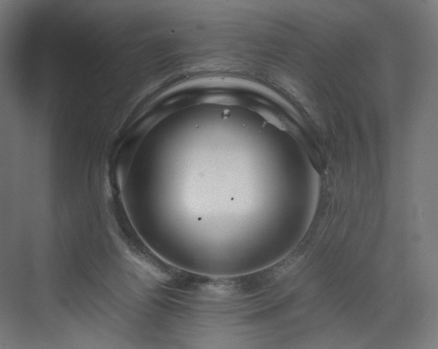 X0000070210164200606021304