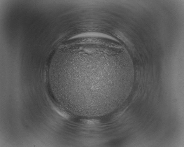 X0000070210165200606021304