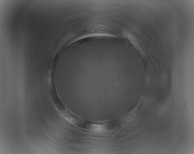 X0000070210167200606021304