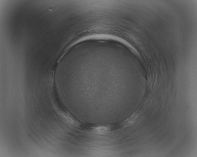 X0000070210168200606021304